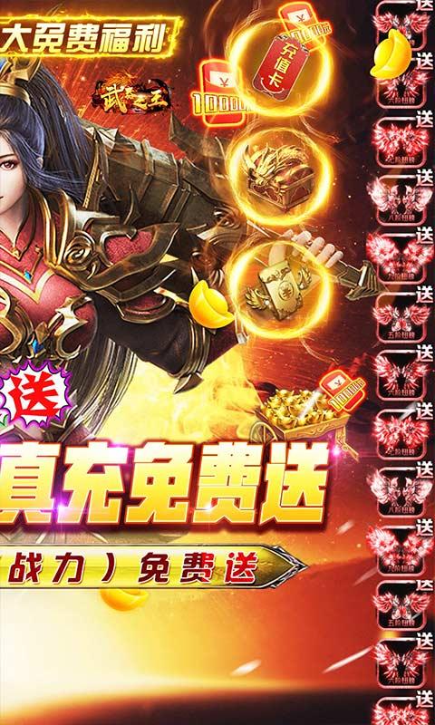 武器之王（点充城池生肖版）游戏截图2