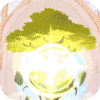 圣树唤歌(满星神魔免氪版)