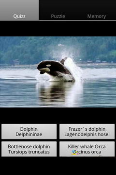 有趣的海豚app软件截图1