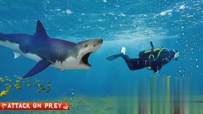 巨齿鲨袭击游戏截图3