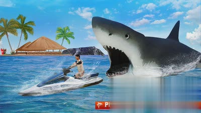 巨齿鲨袭击游戏截图2