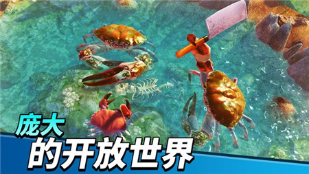 猛蟹之王游戏截图1
