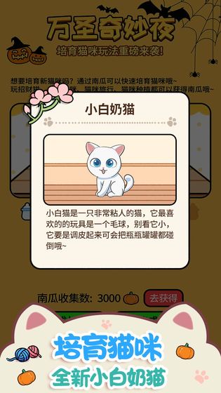 猫咪公寓手机版游戏截图1